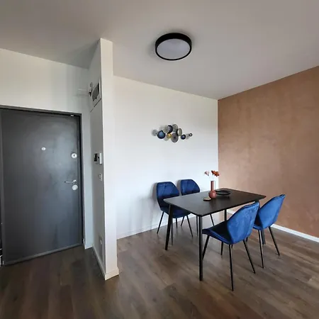 Apartment Cozy 1bdr Downtown Timisoara